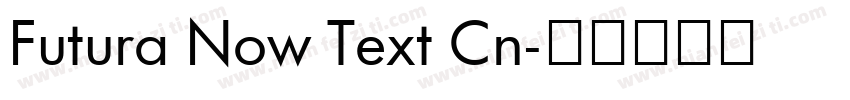 Futura Now Text Cn字体转换